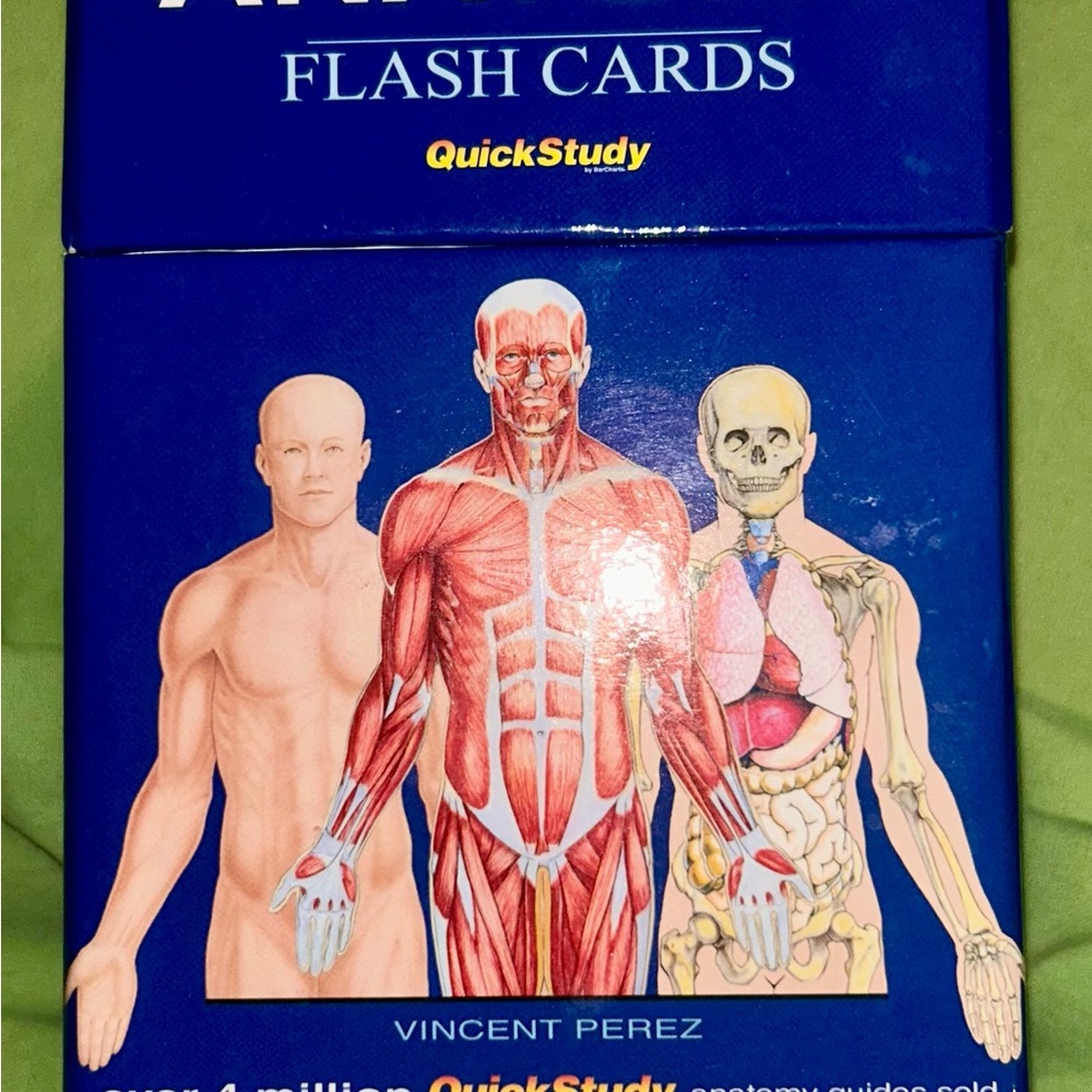 Anatomy Flash Cards by QuickStudy